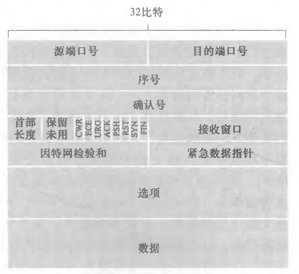 TCP 报文段结构